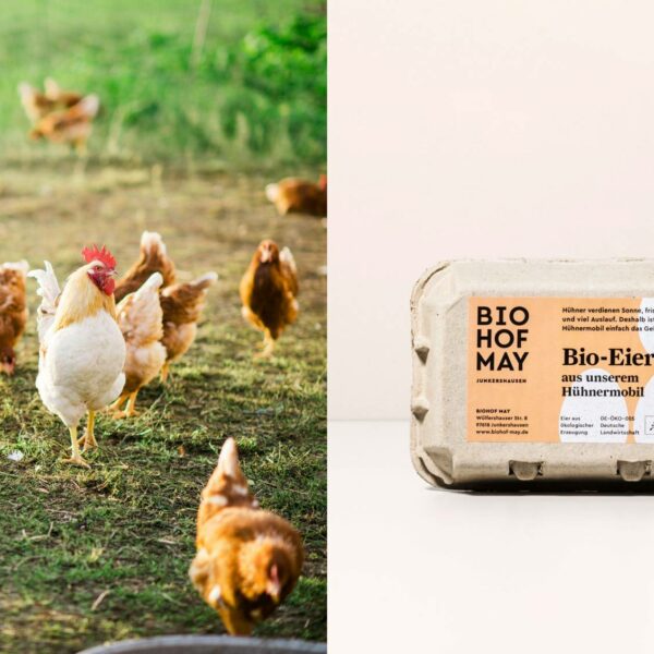 Bio-Eier aus dem Hühnermobil